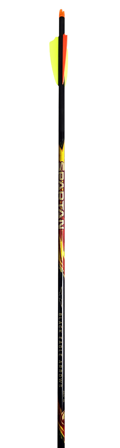 36 pack Spartan Arrows