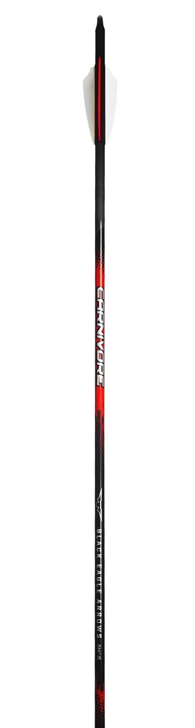 36 Pack Carnivore Arrows