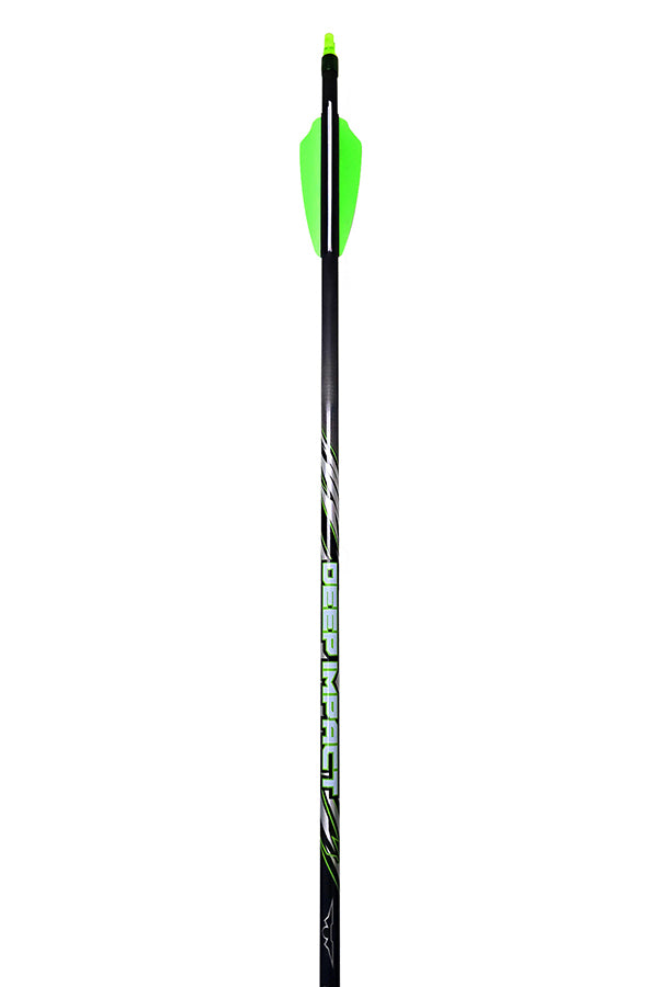 Deep Impact Arrows and Shafts