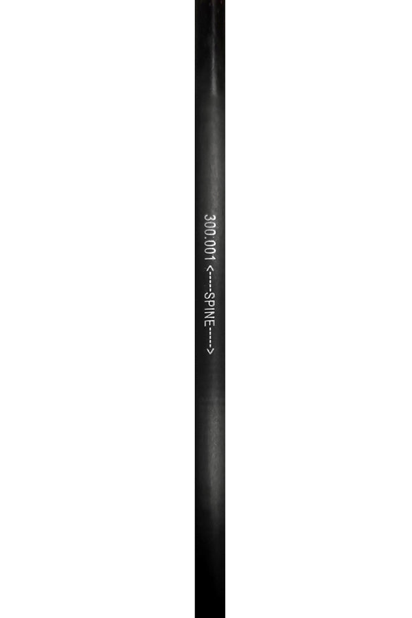 FOCUS Micro Diameter Arrows and Shafts