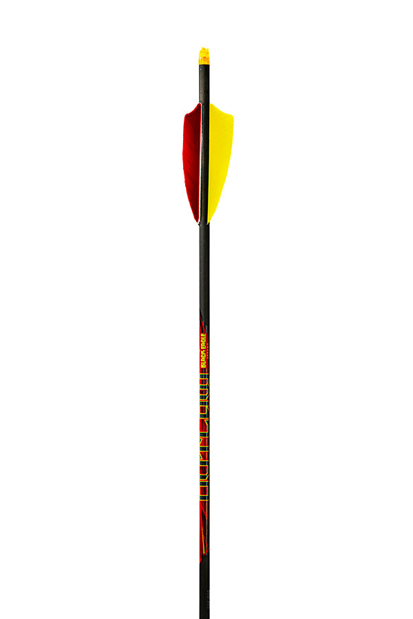 Outlaw 6pk Arrows Vanes or Feathers