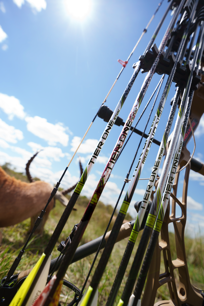 Several arrows with bright yellow and black tips and black shafts printed with the brand name &