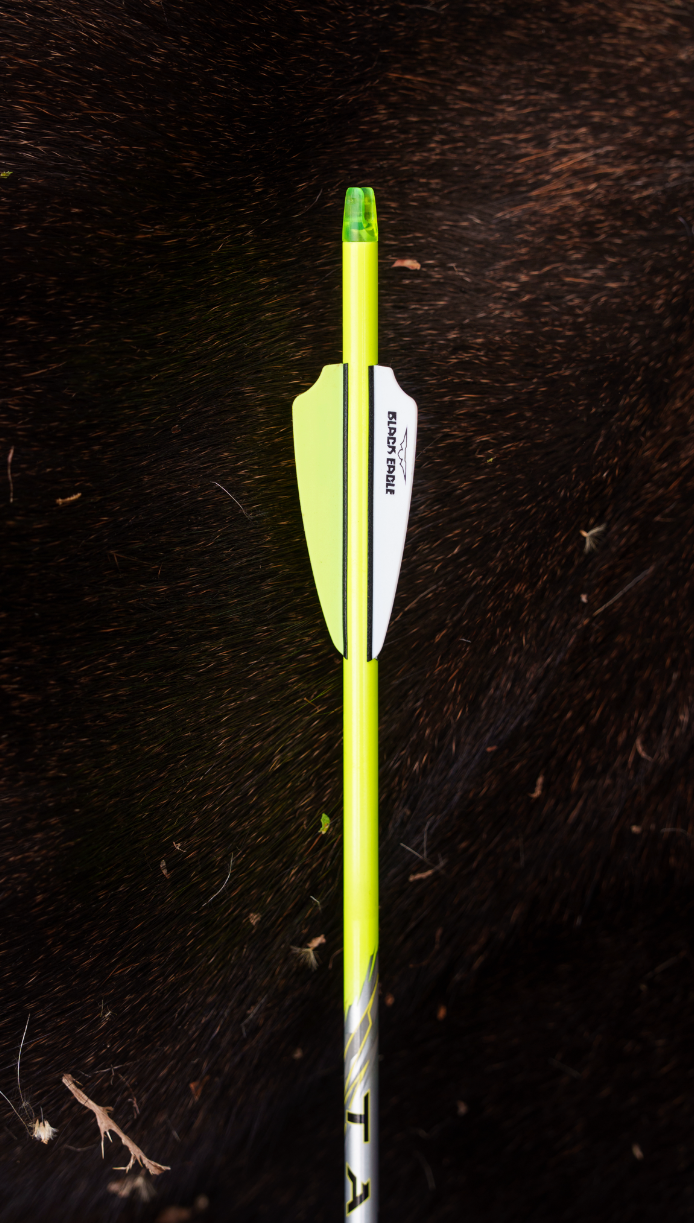 (NEW) Talon Crested Hunting Arrows 36 Pk
