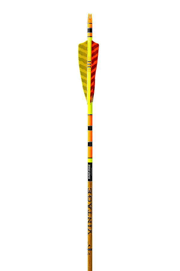 Vintage Crested Arrows with Feathers Yellow/Orange