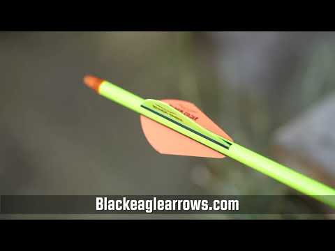 Renegade Shafts